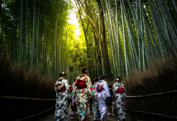 Quels sont les meilleurs conseils pour une randonnée à travers les forêts de bambous de Kyoto, Japon : sentiers et périodes ?